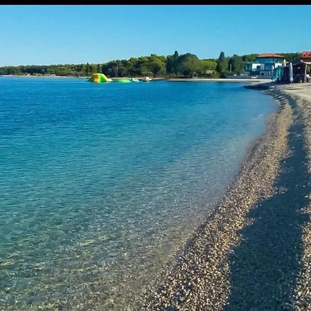Olea * Fažana